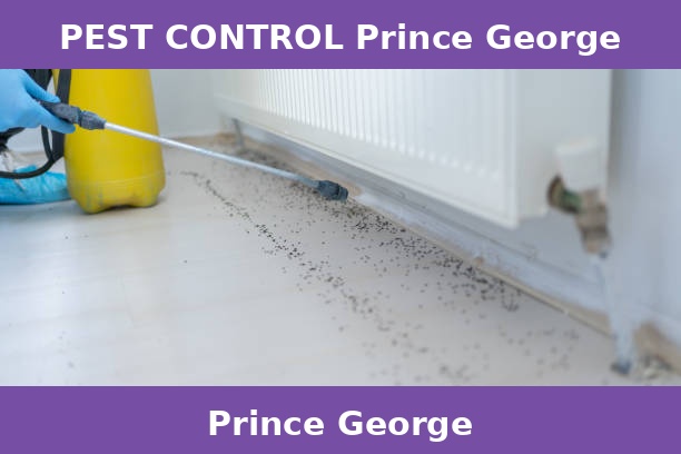 PEST CONTROL Prince George